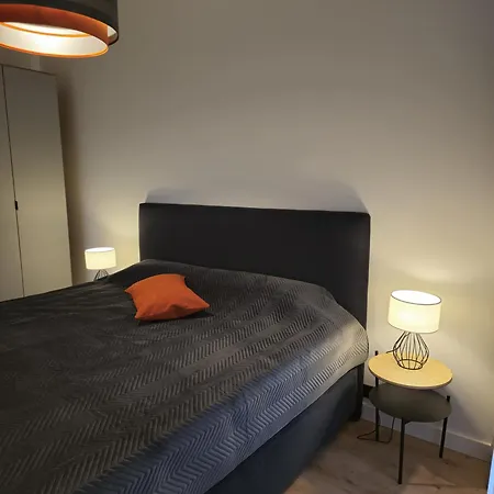 Artisa Riia Str 22 Luxury Penthouse 公寓