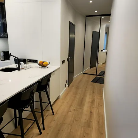 Artisa Riia Str 22 Luxury Penthouse 塔尔图