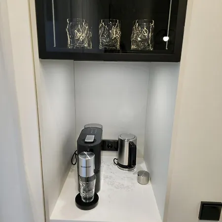 公寓 Artisa Riia Str 22 Luxury Penthouse 塔尔图