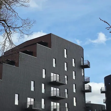 公寓 Artisa Riia Str 22 Luxury Penthouse