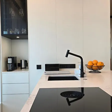 Artisa Riia Str 22 Luxury Penthouse * 塔尔图