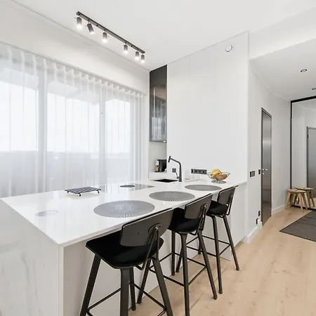 Artisa Riia Str 22 Luxury Penthouse 塔尔图