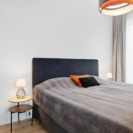 公寓 Artisa Riia Str 22 Luxury Penthouse 塔尔图