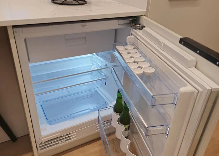 Artisa Riia Str 22 Luxury Penthouse Apartment Tartu