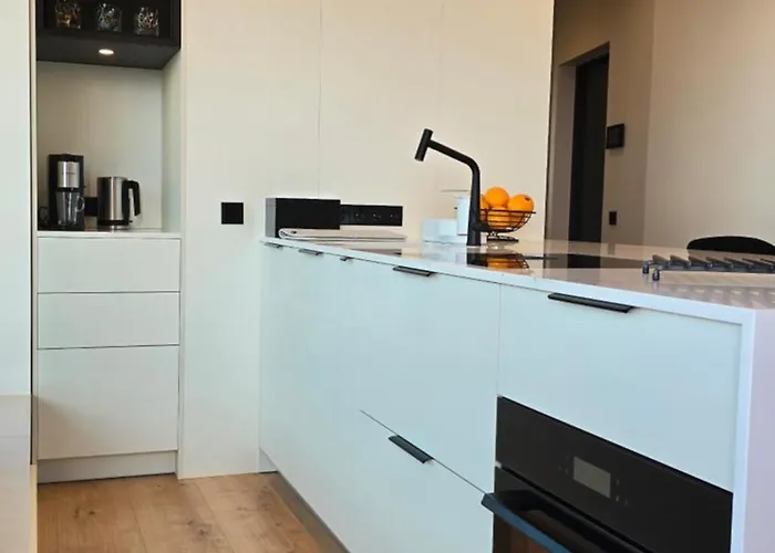 Apartment Artisa Riia Str 22 Luxury Penthouse